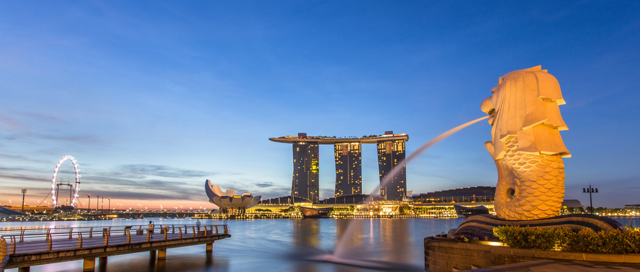 新加坡公司审计宏源国际